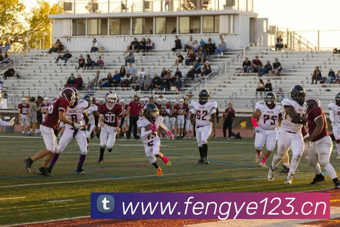 App Interface Preview